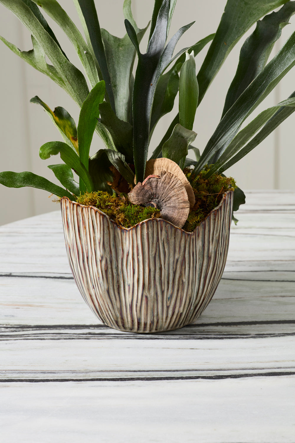 Capira Pot Set of 2 By Accent Decor | Planters, Troughs & Cachepots | Modishstore - 8