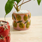 Cucina Pot Set of 4 By Accent Decor | Planters, Troughs & Cachepots | Modishstore - 4