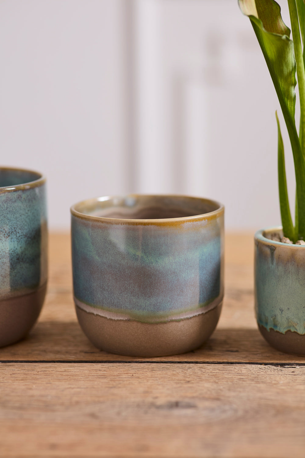 Caribe Pot Set of 8 By Accent Decor | Planters, Troughs & Cachepots | Modishstore - 5