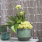 Caribe Pot Set of 8 By Accent Decor | Planters, Troughs & Cachepots | Modishstore - 10