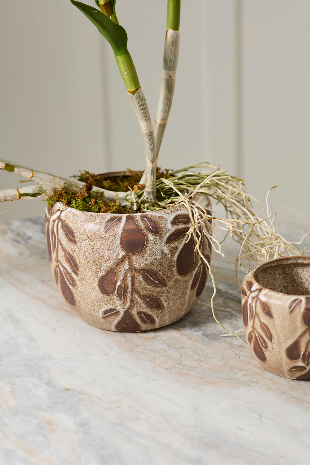 Autumn Pear Pot Set of 4 By Accent Decor | Planters, Troughs & Cachepots | Modishstore - 8