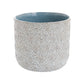 Millie Collection Set of 8 By Accent Decor | Planters, Troughs & Cachepots | Modishstore - 8