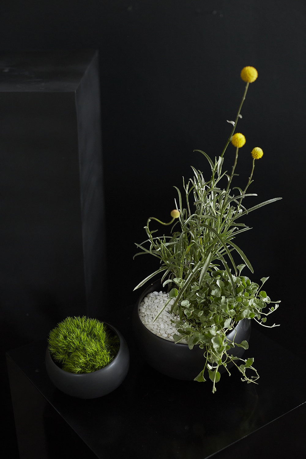 Simply Collection Set of 8 By Accent Decor | Vases | Modishstore - 6