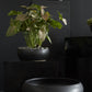 Simply Collection Set of 8 By Accent Decor | Vases | Modishstore - 17