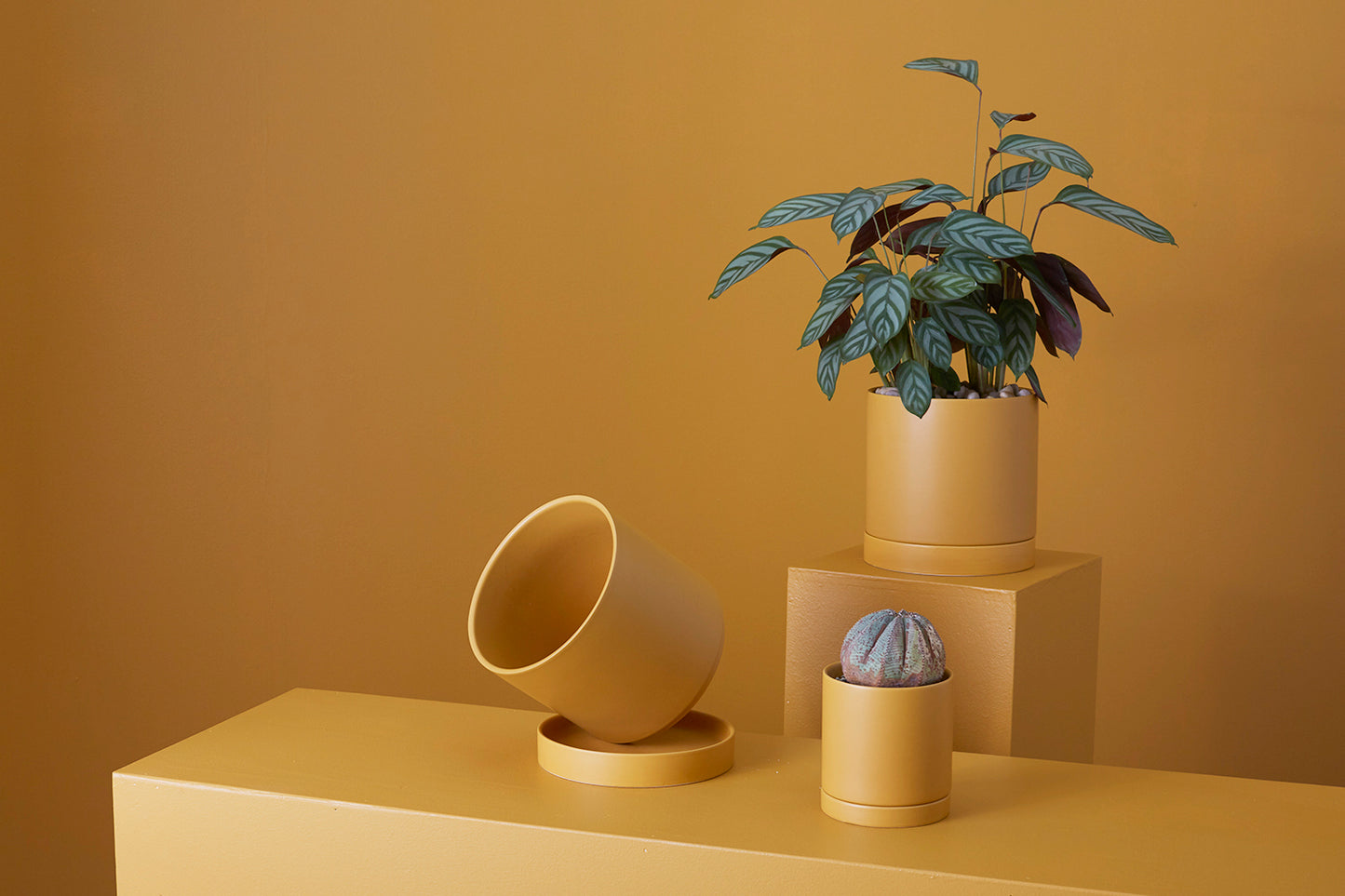 Ochre Romey Pot By Accent Decor | Planters, Troughs & Cachepots | Modishstore - 8
