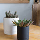 Black Romey Pot By Accent Decor | Planters, Troughs & Cachepots | Modishstore - 6
