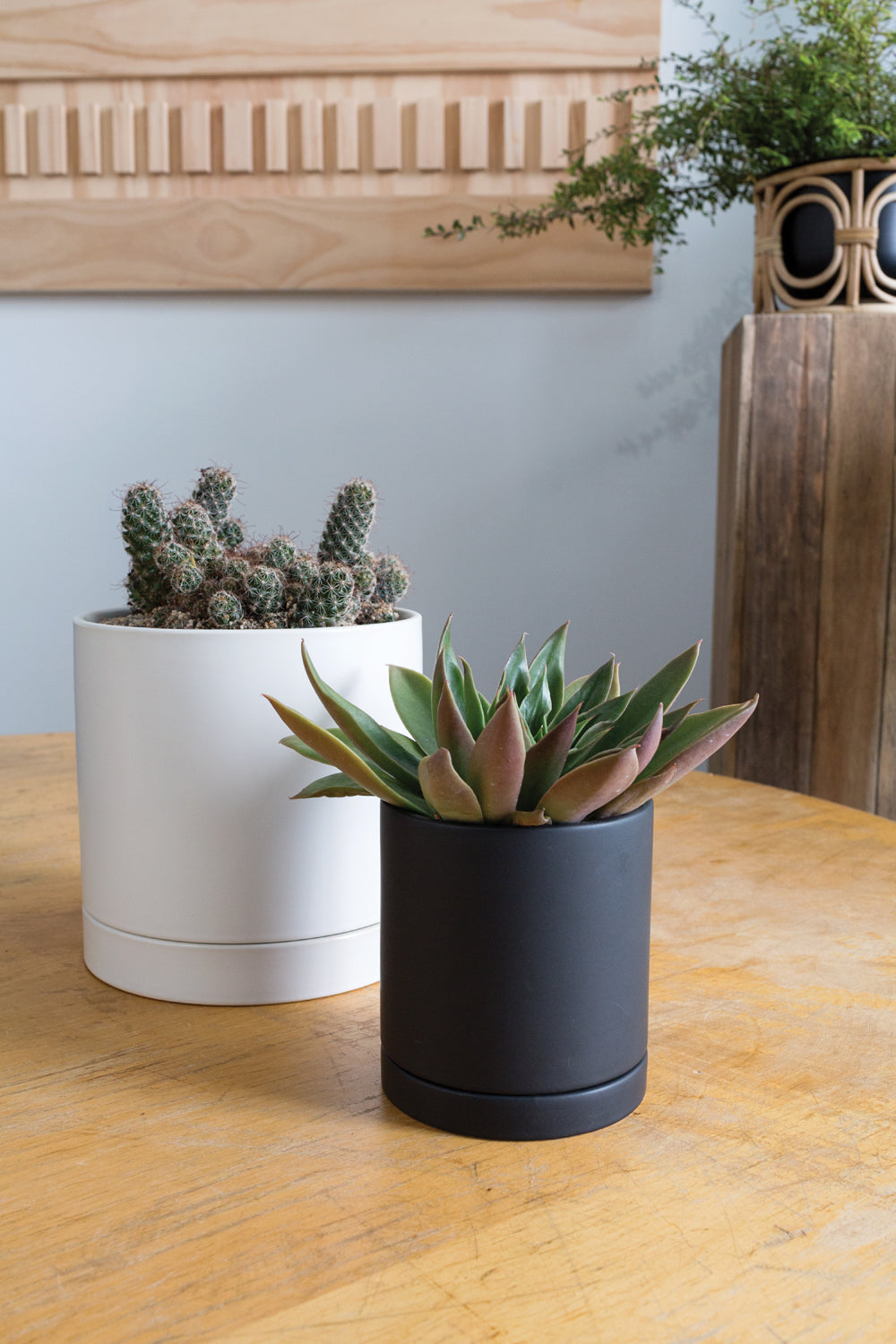 Black Romey Pot By Accent Decor | Planters, Troughs & Cachepots | Modishstore - 6
