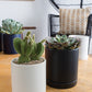 White Romey Pot By Accent Decor | Planters, Troughs & Cachepots | Modishstore - 9