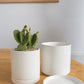 White Romey Pot By Accent Decor | Planters, Troughs & Cachepots | Modishstore - 10