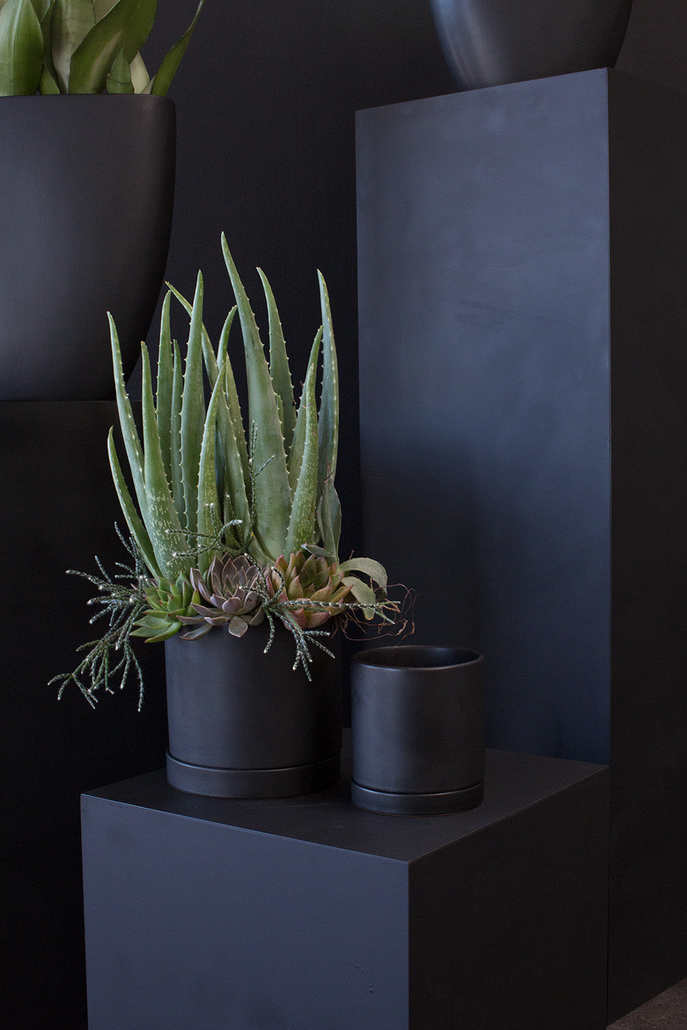 Black Romey Pot By Accent Decor | Planters, Troughs & Cachepots | Modishstore - 8