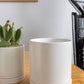 White Romey Pot By Accent Decor | Planters, Troughs & Cachepots | Modishstore - 13
