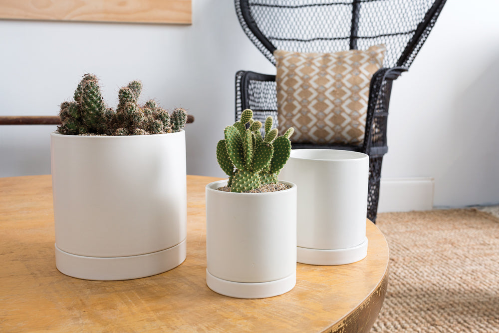 White Romey Pot By Accent Decor | Planters, Troughs & Cachepots | Modishstore - 14
