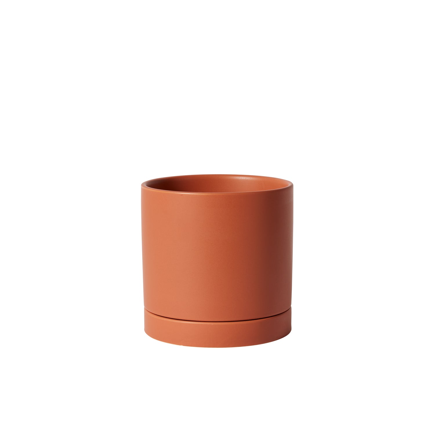 Terracotta Romey Pot By Accent Decor | Planters, Troughs & Cachepots | Modishstore - 12