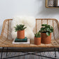 Terracotta Romey Pot By Accent Decor | Planters, Troughs & Cachepots | Modishstore - 13