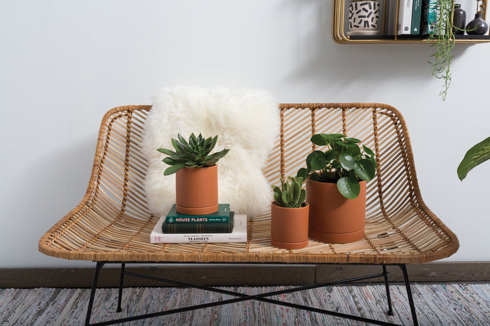 Terracotta Romey Pot By Accent Decor | Planters, Troughs & Cachepots | Modishstore - 13