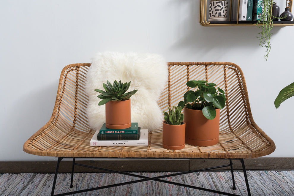 Terracotta Romey Pot By Accent Decor | Planters, Troughs & Cachepots | Modishstore - 13