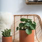 Terracotta Romey Pot By Accent Decor | Planters, Troughs & Cachepots | Modishstore - 14