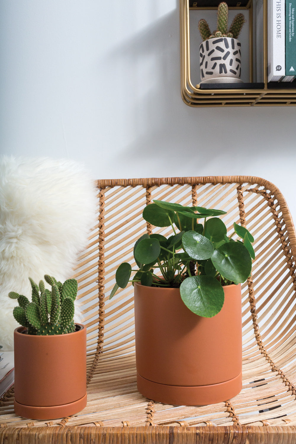 Terracotta Romey Pot By Accent Decor | Planters, Troughs & Cachepots | Modishstore - 14