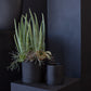 Black Romey Pot By Accent Decor | Planters, Troughs & Cachepots | Modishstore - 10