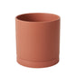 Terracotta Romey Pot By Accent Decor | Planters, Troughs & Cachepots | Modishstore - 2