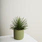 Beam Pot By Accent Decor | Planters, Troughs & Cachepots | Modishstore - 44