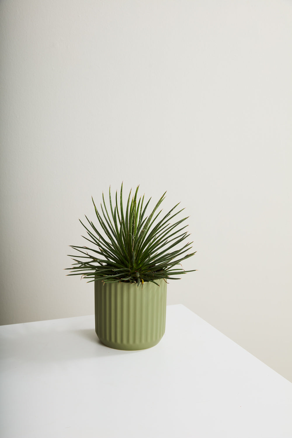 Beam Pot By Accent Decor | Planters, Troughs & Cachepots | Modishstore - 44