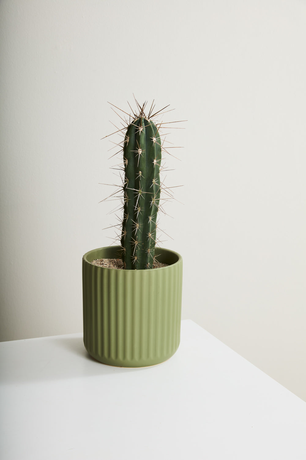 Beam Pot By Accent Decor | Planters, Troughs & Cachepots | Modishstore - 54
