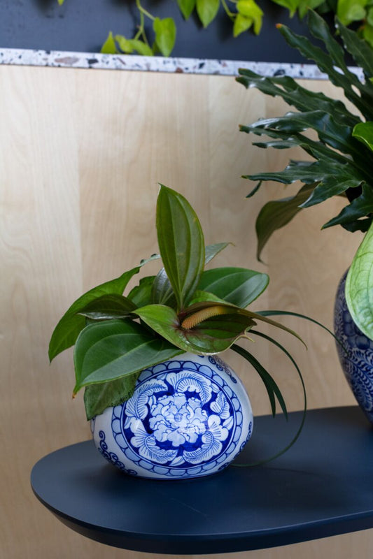 Eleanor Vase 6.25"x 4.75" By Accent Decor | Vases | Modishstore - 1