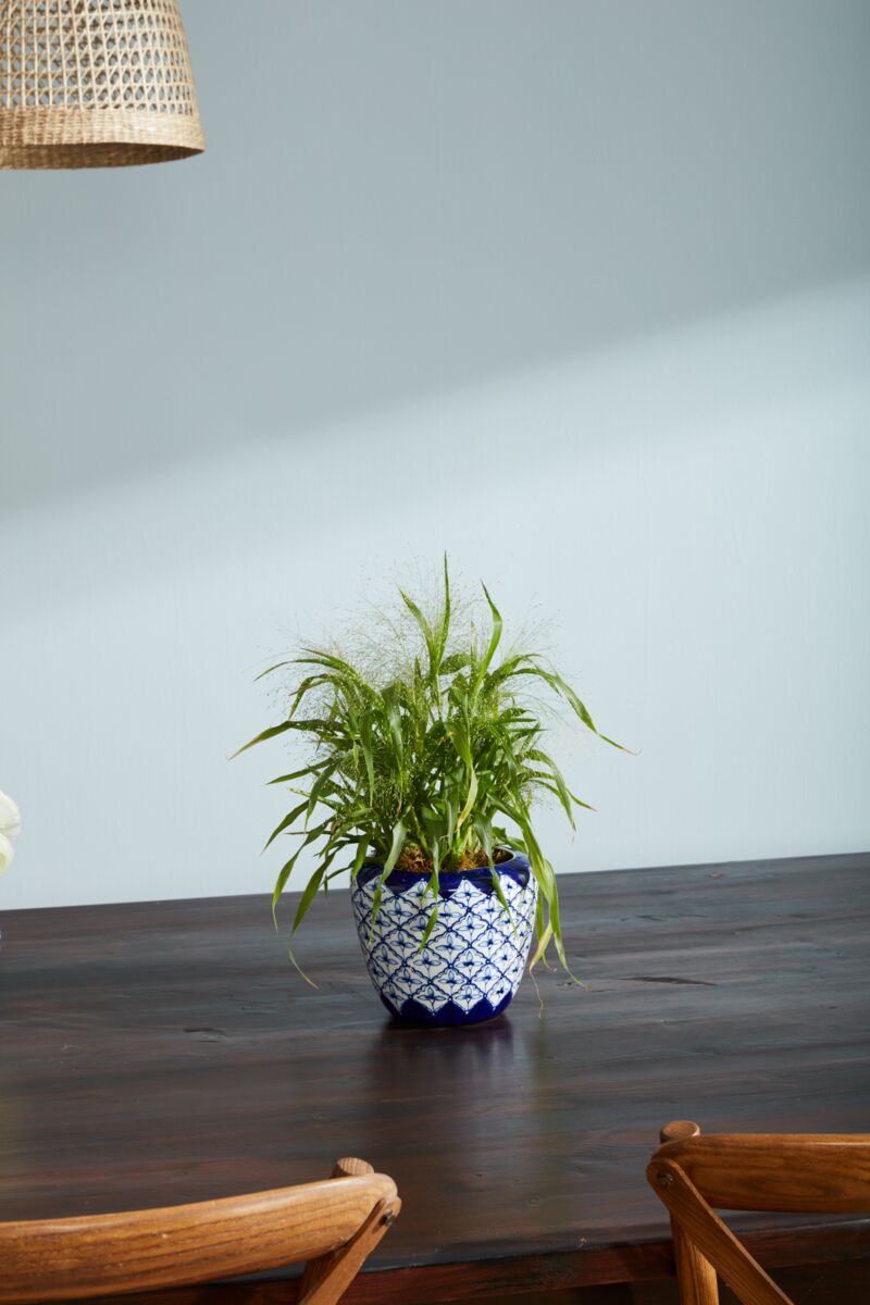 Eleanor Pot 7.25"x 6" By Accent Decor | Planters, Troughs & Cachepots | Modishstore - 4