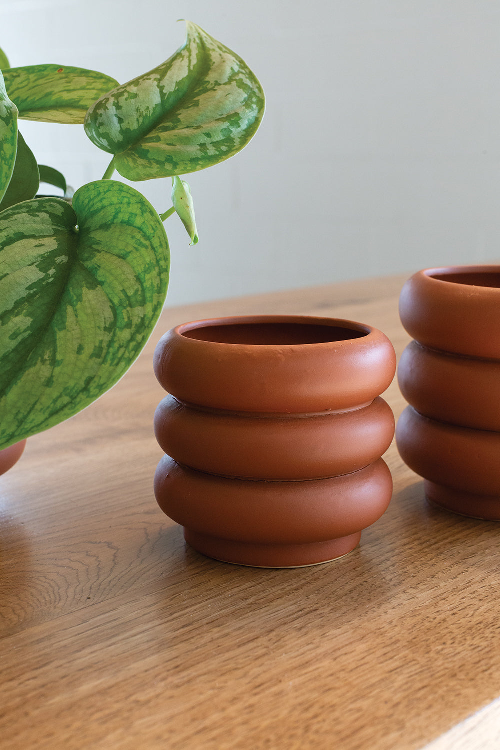 Motley Pot Set of 8 By Accent Decor | Planters, Troughs & Cachepots | Modishstore - 6