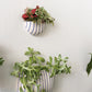 Wim Wall Planter Set of 8 By Accent Decor | Planters, Troughs & Cachepots | Modishstore - 5