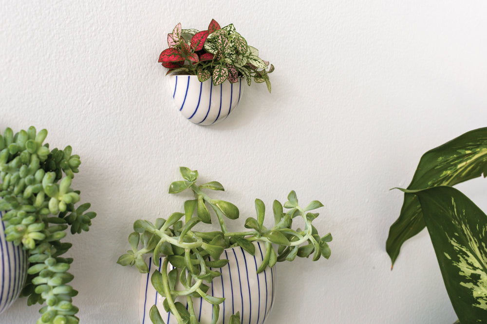 Wim Wall Planter Set of 8 By Accent Decor | Planters, Troughs & Cachepots | Modishstore - 5