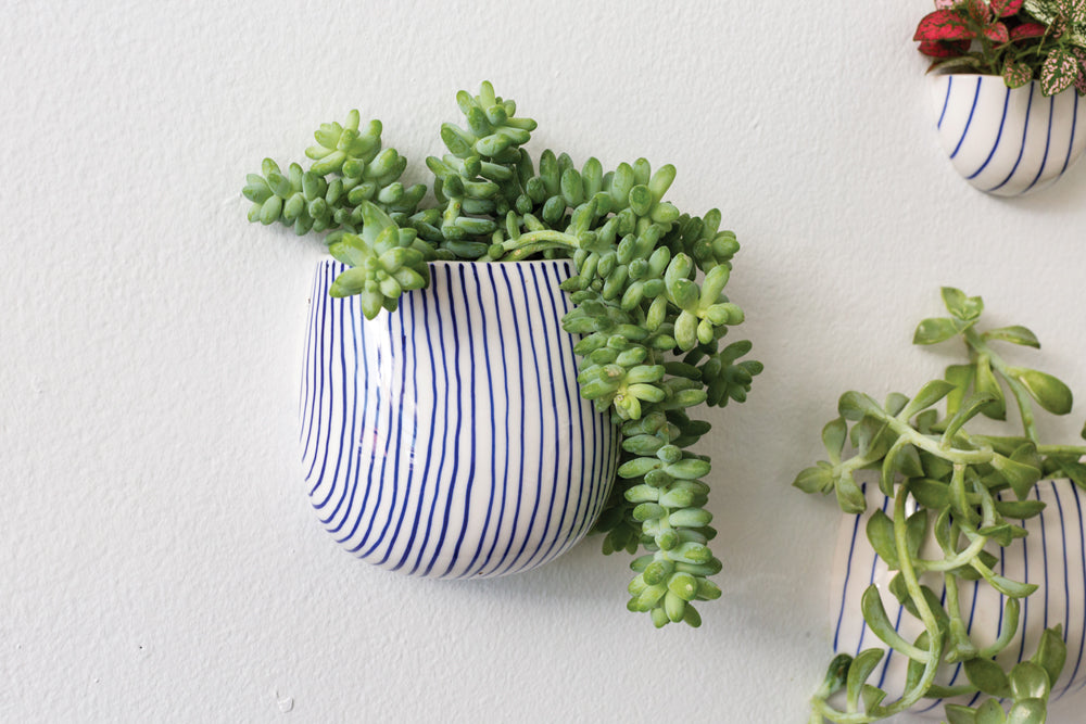 Wim Wall Planter Set of 8 By Accent Decor | Planters, Troughs & Cachepots | Modishstore - 7