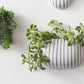 Wim Wall Planter Set of 8 By Accent Decor | Planters, Troughs & Cachepots | Modishstore - 9
