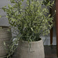 Holt Pot By Accent Decor | Planters, Troughs & Cachepots | Modishstore - 5