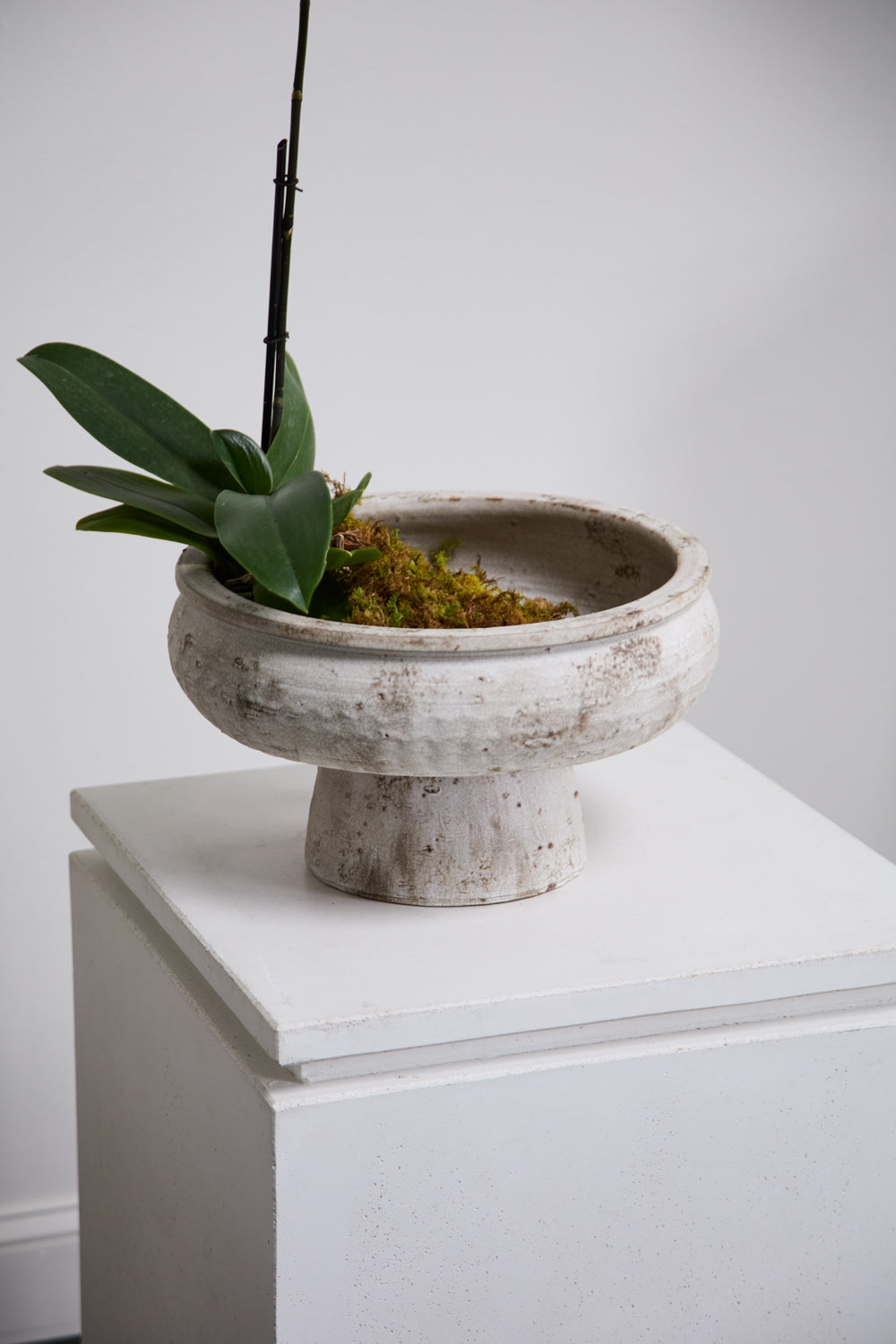 Garance Footed Bowl By Accent Decor | Decorative Bowls | Modishstore - 6