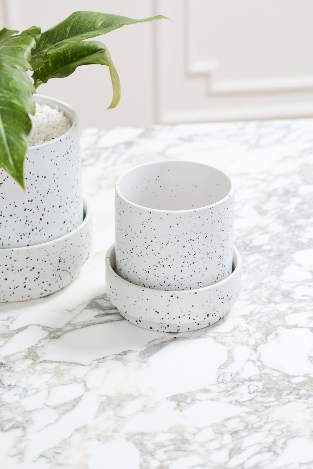 Claxton Pot with Saucer By Accent Decor | Stands | Modishstore - 15
