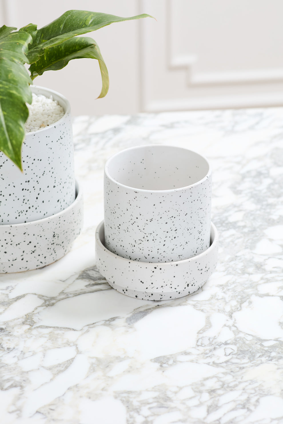 Claxton Pot with Saucer By Accent Decor | Stands | Modishstore - 15