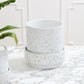 Claxton Pot with Saucer By Accent Decor | Stands | Modishstore - 13