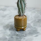 Ferris Footed Pot Set of 8 By Accent Decor | Wall Decor | Modishstore - 8