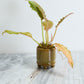 Ferris Footed Pot Set of 8 By Accent Decor | Wall Decor | Modishstore - 11
