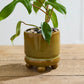 Ferris Footed Pot Set of 8 By Accent Decor | Wall Decor | Modishstore - 10
