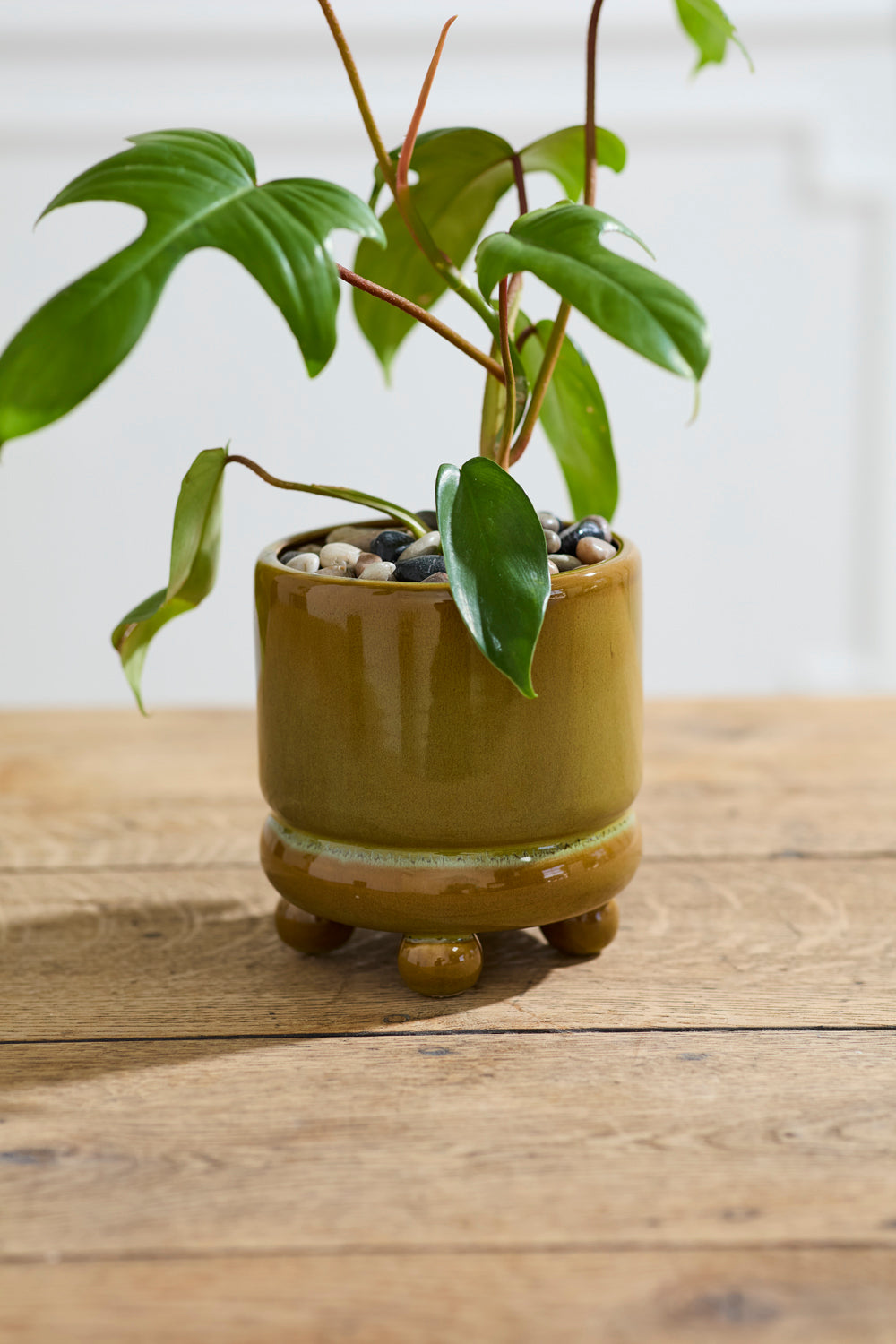 Ferris Footed Pot Set of 8 By Accent Decor | Wall Decor | Modishstore - 10