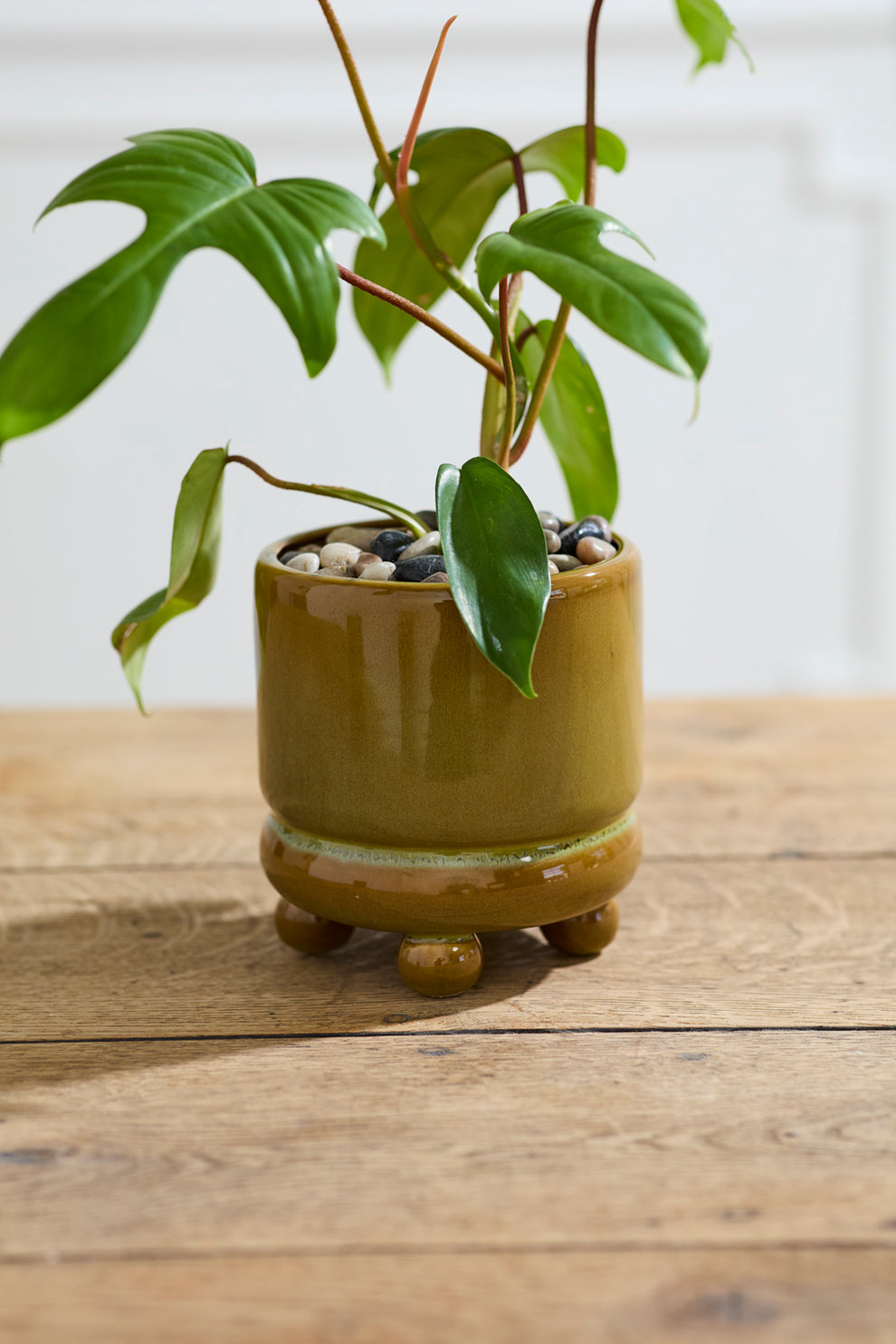 Ferris Footed Pot Set of 8 By Accent Decor | Wall Decor | Modishstore - 10