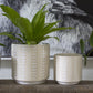 Zati Pot Set of 4 By Accent Decor | Planters, Troughs & Cachepots | Modishstore - 6