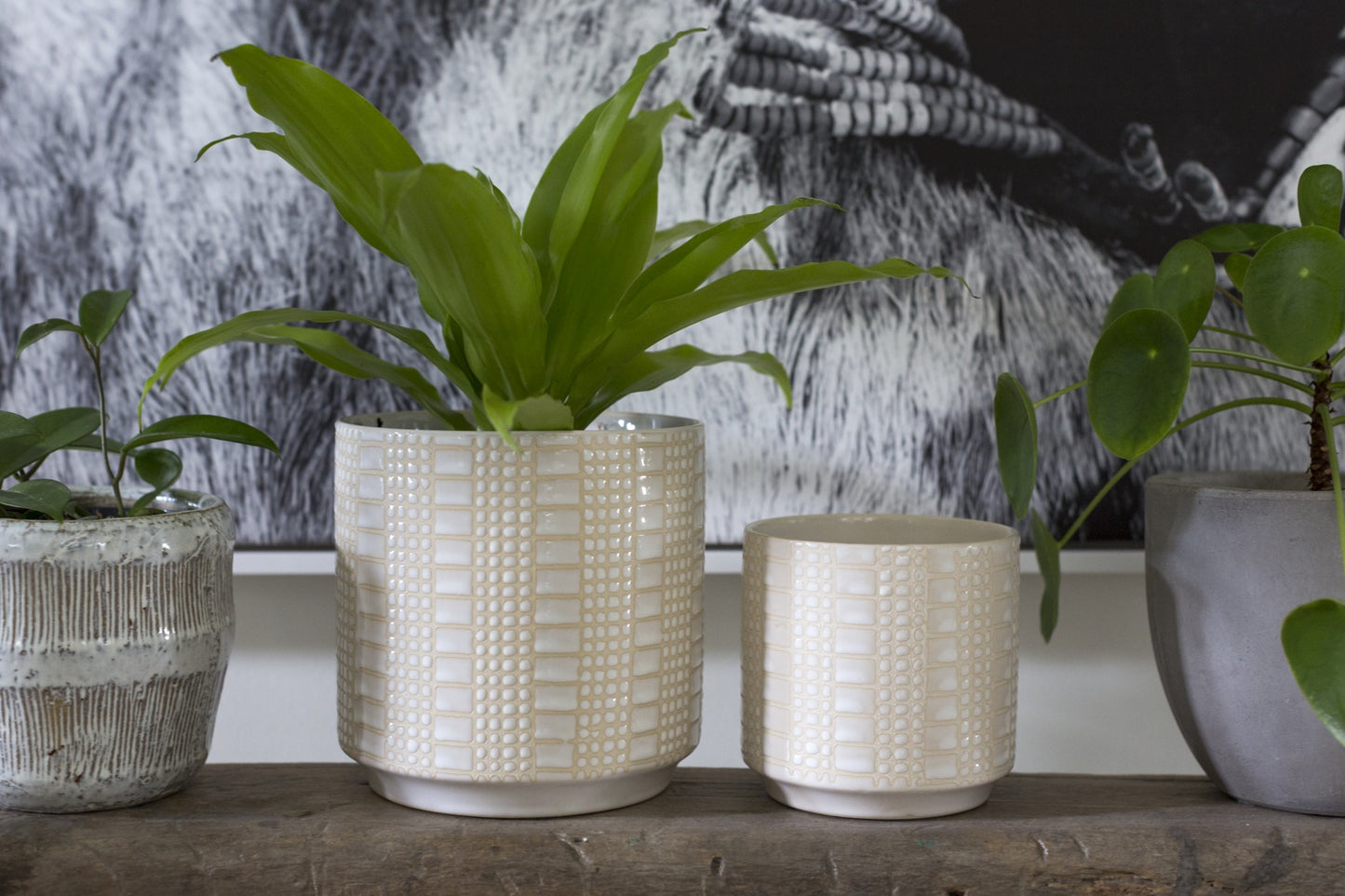 Zati Pot Set of 4 By Accent Decor | Planters, Troughs & Cachepots | Modishstore - 6