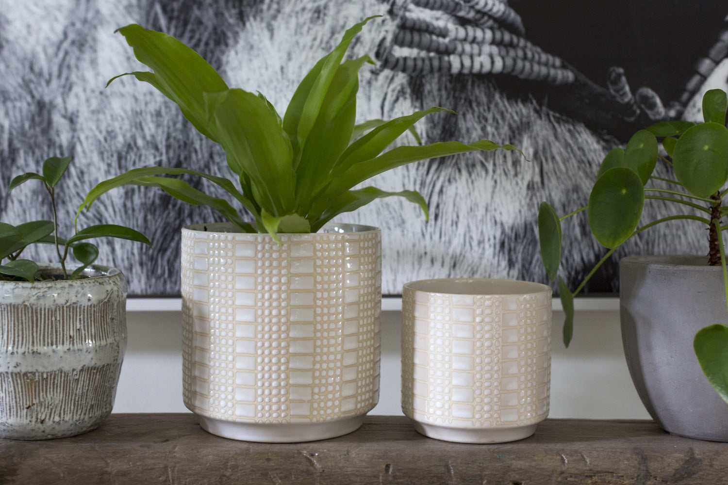 Zati Pot Set of 4 By Accent Decor | Planters, Troughs & Cachepots | Modishstore - 6