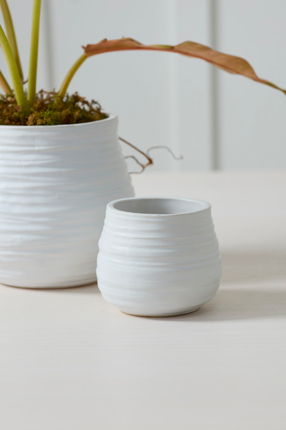 Larkin Pot Set of 8 By Accent Decor | Wall Decor | Modishstore - 6