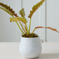 Larkin Pot Set of 8 By Accent Decor | Wall Decor | Modishstore - 9