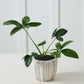 Cedric Pot Set of 8 By Accent Decor | Wall Decor | Modishstore - 10
